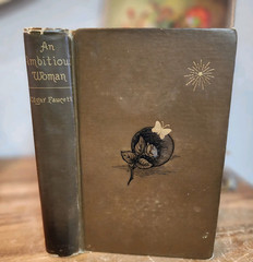 Edgar Fawcett An Ambitious Woman Hardcover Houghton Mifflin 1890 Antique Book