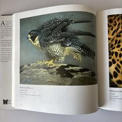 Artists for Conservation 2019 International Exhibit Nature in Art HC 1st Ed Book