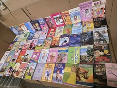 Lot of 20 Chapter Books for GIRLS Youth Early Reader Young Adult Children RANDOM
