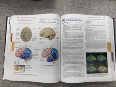 Human Anatomy and Physiology, Eleventh Edition, c. 2019
