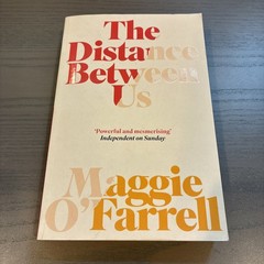 The Distance Between Us By Maggie O’Farrell (2004, Trade Paperback) Fiction