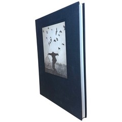 The Architect’s Brother by Robert Parkeharrison 2004 Twin Palms Hardcover Art