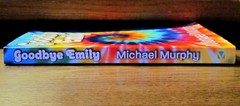 GOODBYE EMILY, by Michael Murphy, 2013 Paperback, 270 pages
