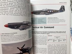 WWII Allied Fighter Aircraft 1939-45 P51 Mustang P38 Spitfire ThunderboltWildcat