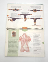 Massage for Beginners by Marilyn Aslani Spiral Book 1992 Vintage