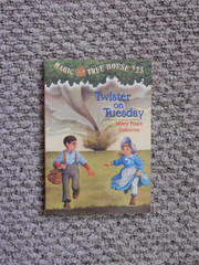 Lot of various Individual Magic Tree House Books: Mixed Publishers