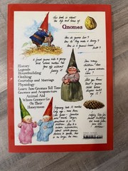 Gnomes : Thirtieth Anniversary Edition by Wil Huygen (2006, Hardcover)