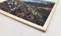 Images of OREGON Featuring Ray Atkeson Photography (Paperback, 1980)