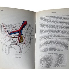 The Concise Grays Anatomy Book by C.H. Leonard AM MD Chartwell Books 1983 Omega