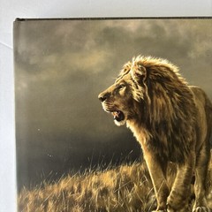 Artists for Conservation 2019 International Exhibit Nature in Art HC 1st Ed Book
