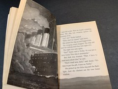 Cam Jansen Wedding Cake Mystery & Magic Tree House #17 Tonight on the Titanic