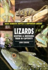 Lizards (Reptiles and Amphibians)