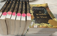 Lot of 12 A Wrinkle in Time, L’Engle Class Teacher Set Guided Reading Books P/B