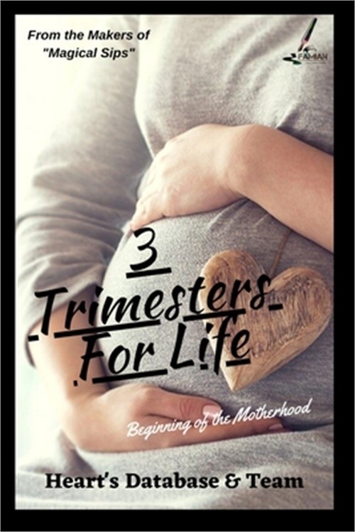 3 Trimesters For Life (Paperback or Softback)