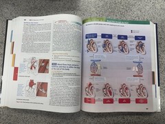 Human Anatomy and Physiology, Eleventh Edition, c. 2019