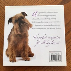 Huggable Hounds: A Dog Lover’s Treasury, Quercus Publishing Hardcover Book