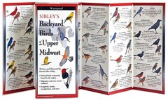 Sibley’s Back. Birds of the Midwest Other by David Allen Sibley