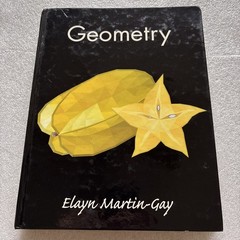 GEOMETRY by ELAYN MARTIN-GAY 2016 Hardcover (missing front endpapers, writing)