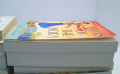 Book Lot 12 Contemporary Fiction Mixed Authors Trade Paperbacks Pre‑Owned