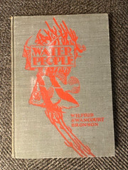 1935 WATER PEOPLE by Wilford Swancourt Bronson art deco full color children’s