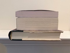 3 Book Literary Fiction Bundle Hamnet God of the Woods Songs in Ursa Major