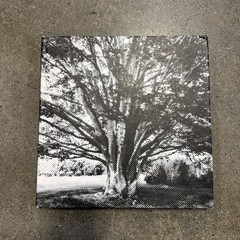 Peter Marino THE GARDEN OF PETER MARINO 2017 RIZZOLI NO BOOK JACKET ACCEPTABLE