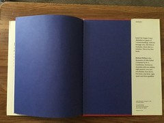 Crazy Alphabet by Lynn Cox (Hardcover)