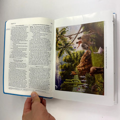 Da Good and Spesho Book Hawaii Pidgin Bible (Revised) Soft Cover Book Brand New