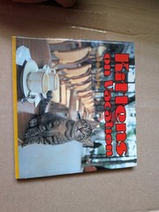 Kittens On Vacation by Shinjiro Sagara (1990, Trade Paperback)