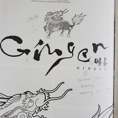 Chinese Pictograms Book Pictographic Evolution & Graphic Creation of Hanzi (ENG)
