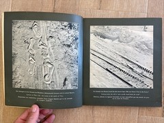 DAS SCHWEIZERBUCH VOM WANDERN, REISEN, FLIEGEN Roedelberger 1956 PB Swiss Photos