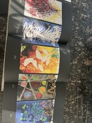 Chihuly Drawings by Dale Chihuly & Barry Rosen (Hardcover, Limited 1st Ed, 2014)