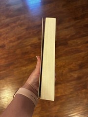 Everyone Is Lying to You Book by Jo Piazza , Paperback Book