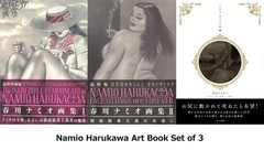 Namio Harukawa Art Book Set of 3 Illustration Book / NEW JAPAN