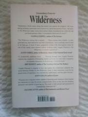 Wilderness : A Novel by Angela Flournoy (2025, Hardcover)
