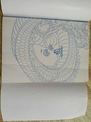 Dragon Ball Daizenshuu Carddass Perfect File Part 1 Book