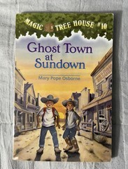 Lot of 16 The MAGIC TREE HOUSE Series 14 pb, 2 Hardcover