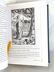 THE BLUE FAIRY BOOK Andrew Lang Illustrated Bonded Leather Gilded Pages *SEALED*