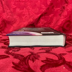 Alexis Lampley- PRIDE AND PREJUDICE IN SPACE (Hardbound) Union Square Publishing