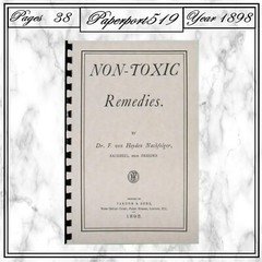 1898 Non Toxic Remedies 38 Pages
