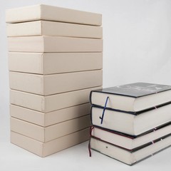 The Library of America – 13 Book Lot