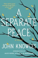 A Separate Peace – Paperback By John Knowles – ACCEPTABLE
