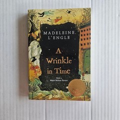A Wrinkle in Time Madeleine L’Engle Paperback Newbery Medal 9780312367541
