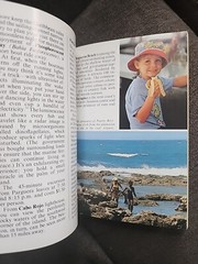 Pocket Guides Ser.: Puerto Rico Pocket Guide : English Edition by Berlitz…1977