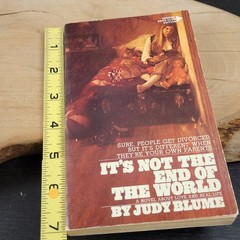 Judy Blume It’s Not The End Of The World PB Book Pathfinder Novel Vtg 1973 BCE