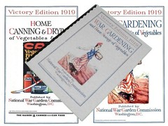 1919 Victory Edition War Gardening And Home Storage of Vegetables