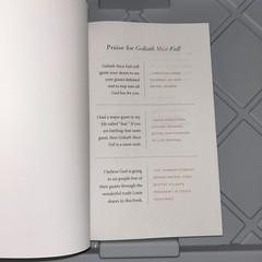 Goliath Must Fall Paperback
