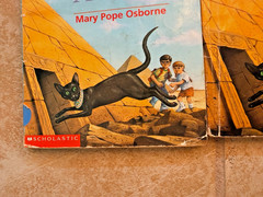 Lot of 24 Magic Treehouse books by Mary Pope Osborne Classroom owned