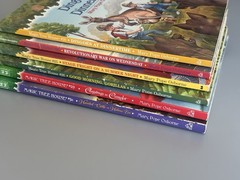 Magic Tree House Chapter Books YOU CHOOSE PICK, BUILD A LOT Merlin Mission
