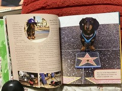 CRUSOE, THE WORDLY WIENER DOG, DACHSHUND, EXC. COND,230 PAGES/ FREE POSTAGE!!!!!